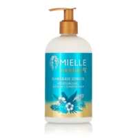 Moisture RX Hawaiian Ginger Leave-In Conditioner